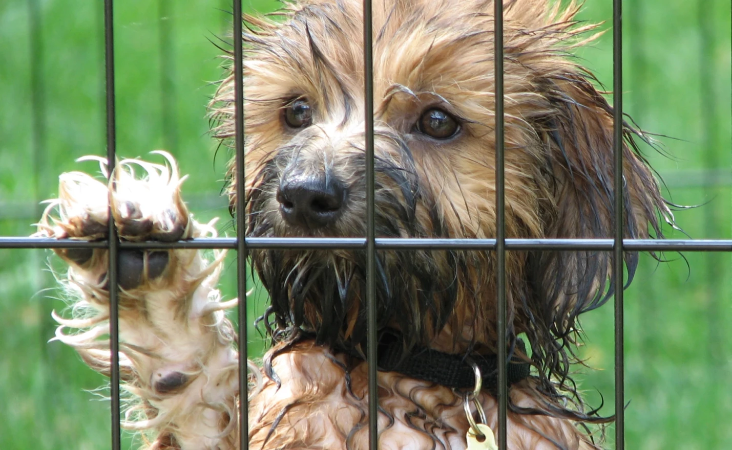 (Freeimages.Com / Sue Byford)